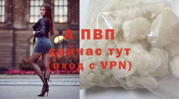 гашик Белокуриха