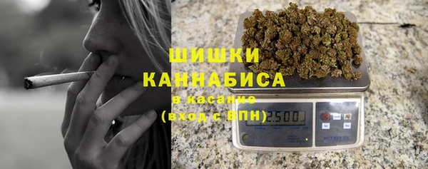 гашик Белокуриха