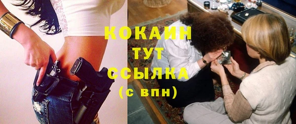 гашик Белокуриха
