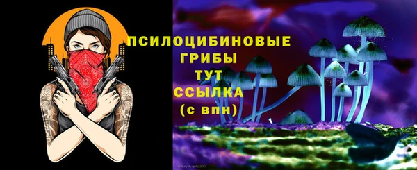мдпв Беломорск