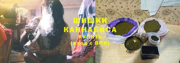 гашик Белокуриха