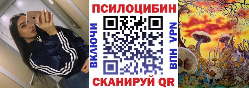 где можно купить   Верхний Тагил  Галлюциногенные грибы MAGIC MUSHROOMS 